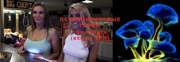 молекула духа Алзамай