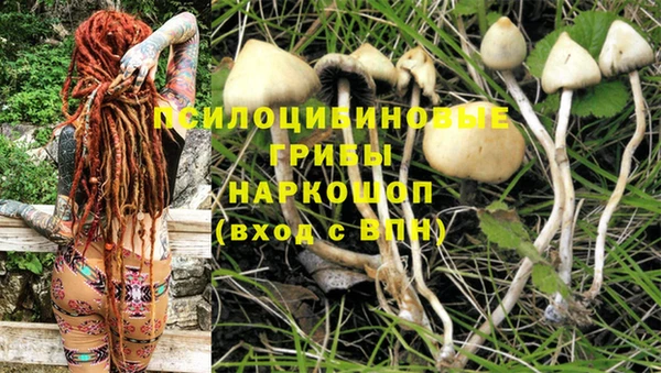 молекула духа Алзамай